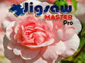 Igra Majstor Puzzlea Pro online