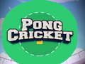 Igra Pong Kriket online