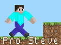 Igra Pro Steve online