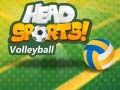 Igra Odbojka Head Sports online