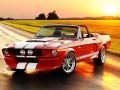 Igra Razlike u Luksuznom Mustang online