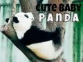 Igra Slatka beba panda online