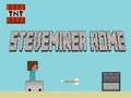 Igra Steveminer Dom online