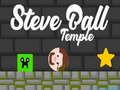 Igra Steve Ball Hram online