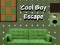 Igra Bijeg Cool Dječaka online