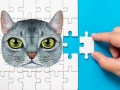 Igra Abisinijska Puzzla Izazov online