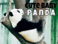 Igra Slatka beba panda online