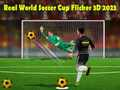 Igra Stvarni Svjetski Kup u Nogometu Flicker 3D 2023 online