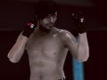 Igra MFS: MMA Borac online
