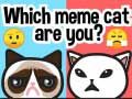 Igra Koji ste meme mačka? online