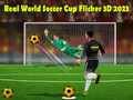 Igra Stvarni Svjetski Kup u Nogometu Flicker 3D 2023 online