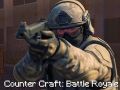 Igra Counter Craft: Battle Royale online