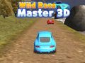 Igra Divlji Trkački Majstor 3D online