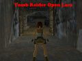 Igra Tomb Raider: Otvorena Lara online