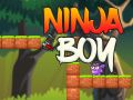 Igra Ninja dečko online