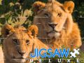 Igra Jigsaw Deluxe online