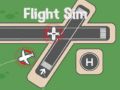 Igra Simulator Leta online