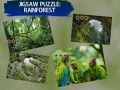 Igra Puzzle Slika Kišna Šuma online