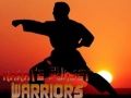 Igra Karate Ratnici Zalaska Sunca online
