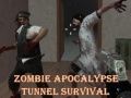 Igra Preživljavanje u zombi apokalipsnom tunelu online