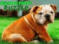 Igra Puzzle štene buldoga online
