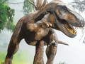 Igra Pazl Mesojeda Tiranosaurus Rex online