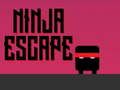 Igra Nindžina bijeg online