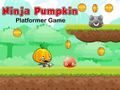 Igra Ninja igra platforme bundeva online