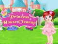 Igra Čišćenje kuće princeze online