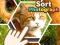 Igra Sortiraj fotografije online
