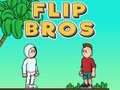 Igra Flip Braća online