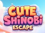 Igra Slatki Shinobi Bijeg online Igra Slatki Shinobi Bijeg online