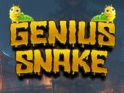 Igra Geniš Zmaj online