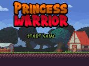 Igra Princeza ratnik online