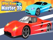 Igra Divlja utrka: Master 3D online