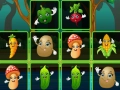 Igra Igra Vegetalne Karte online Igra Igra Vegetalne Karte online