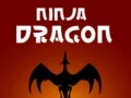 Igra Nindža Zmaj online