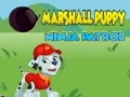 Igra Patrola Ninja Štenaca Marshall online