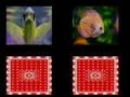 Igra riblja memorija online Igra riblja memorija online