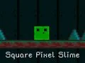 Igra Kvadratni Pixel Slime online Igra Kvadratni Pixel Slime online