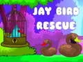 Igra Spasavanje ptice Jay online
