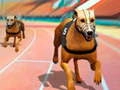 Igra Raseći Psi 3D online