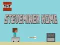 Igra Steveminer Dom online