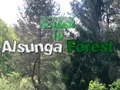 Igra Povratak u šumu Alsunga online Igra Povratak u šumu Alsunga online