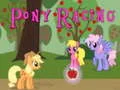 Igra Trka Poni online