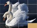 Igra Puzzle Slajdanje Životinja online