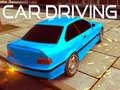 Igra Vožnja automobila online