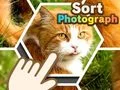 Igra Sortiraj fotografije online