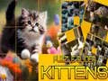 Igra Puzzle Klizajući Mačići online