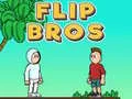 Igra Flip Braća online